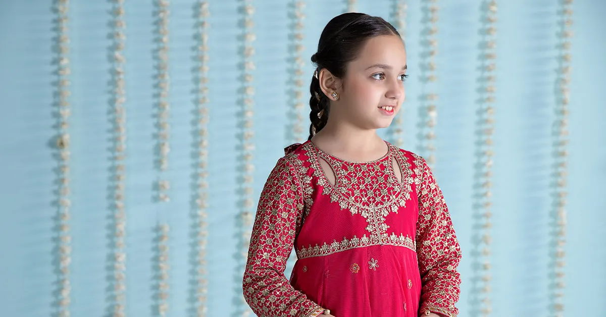 3 Piece Embroidered Net Suit | MKS-EA24-02