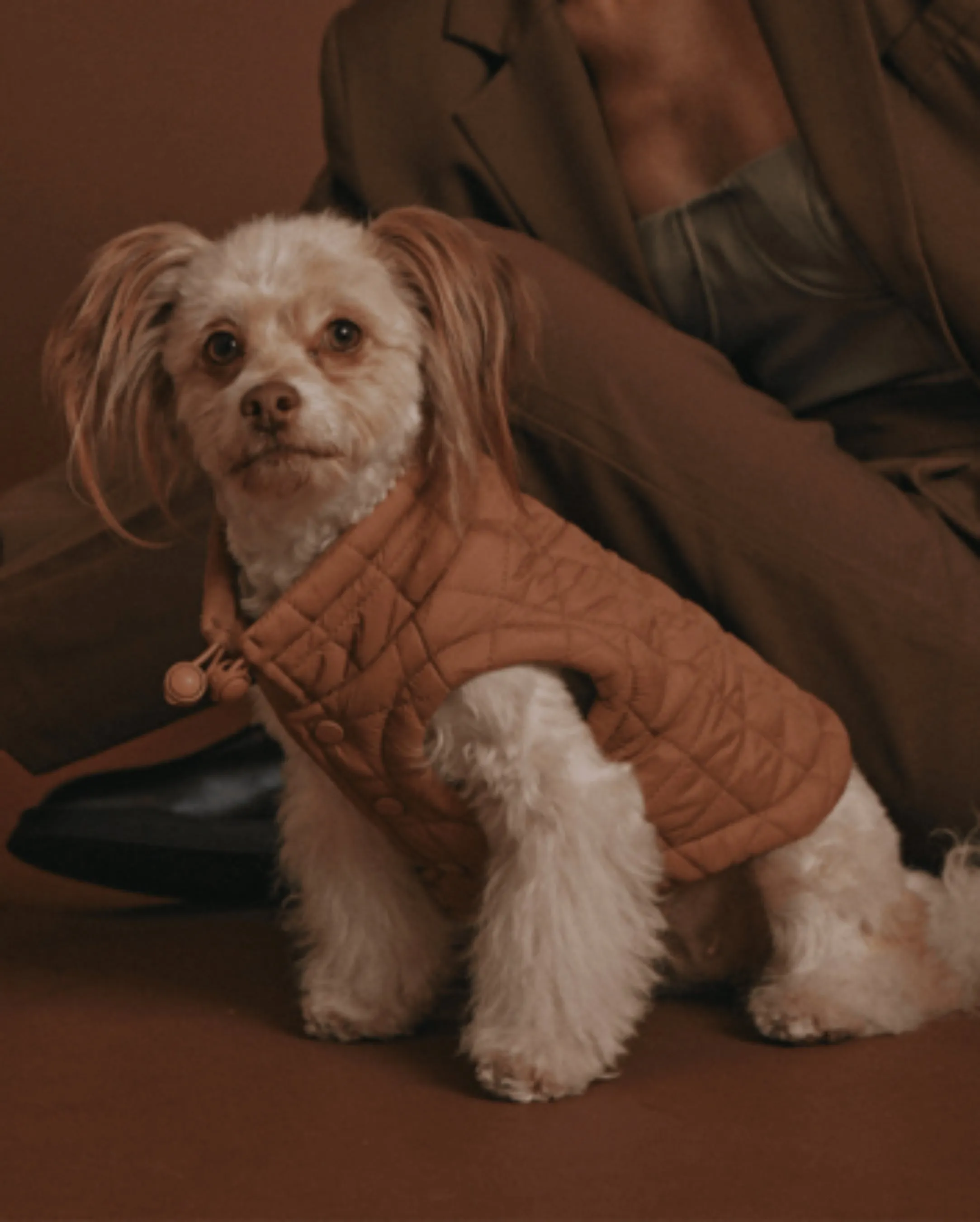 maxbone Easy Fit Jacket in Camel