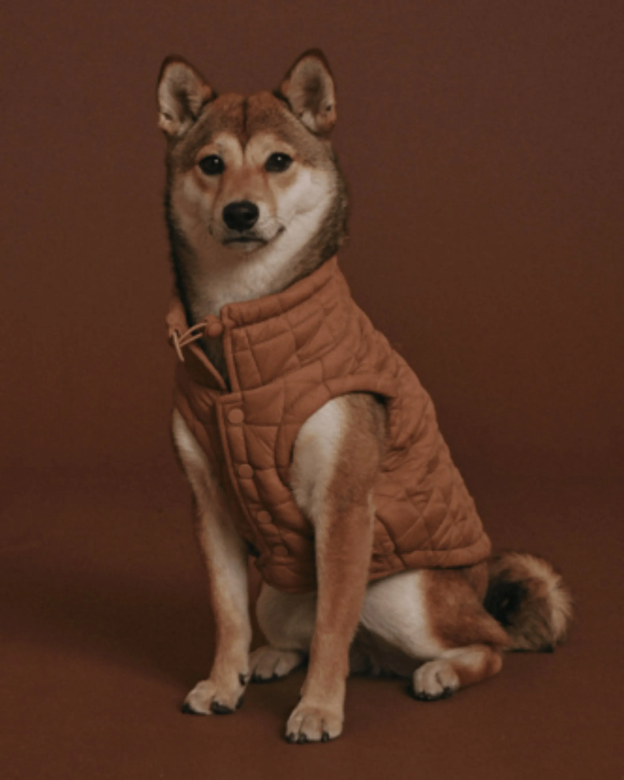maxbone Easy Fit Jacket in Camel